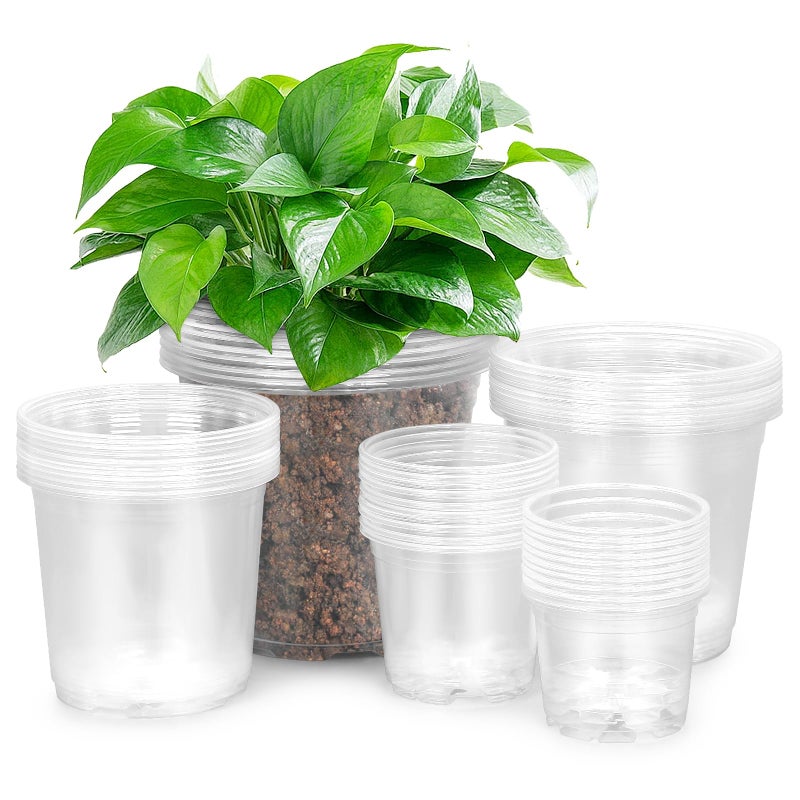 FUIJOL 50 Pack 3/4/5/6/7 Inch Clear Plastic Nursery Pots for Succulents  Herbs  Flowers  Vegetable Seedlings  Durable Nursery Pots for Plants with Drainage Holes - Image 1